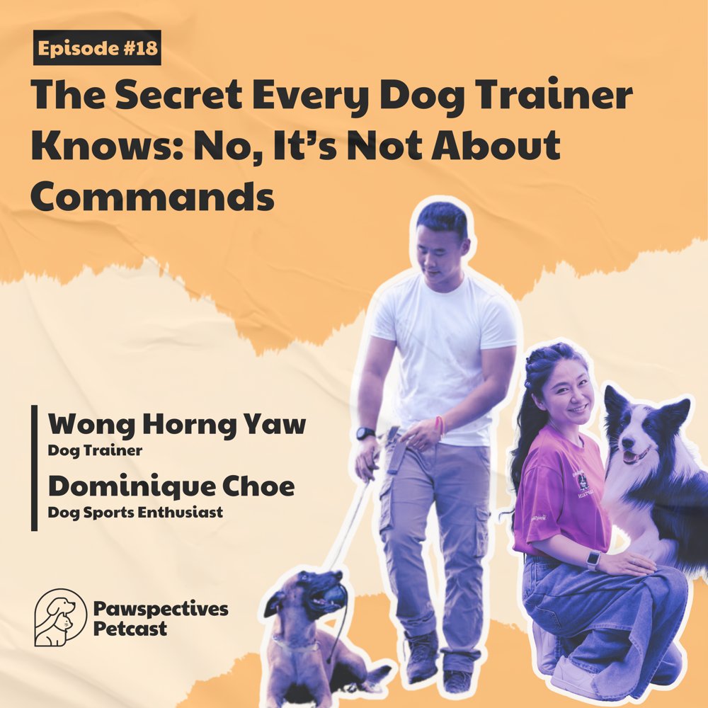 The Secret Every Dog Trainer Knows: No, It's Not About Commands — watch on YouTube